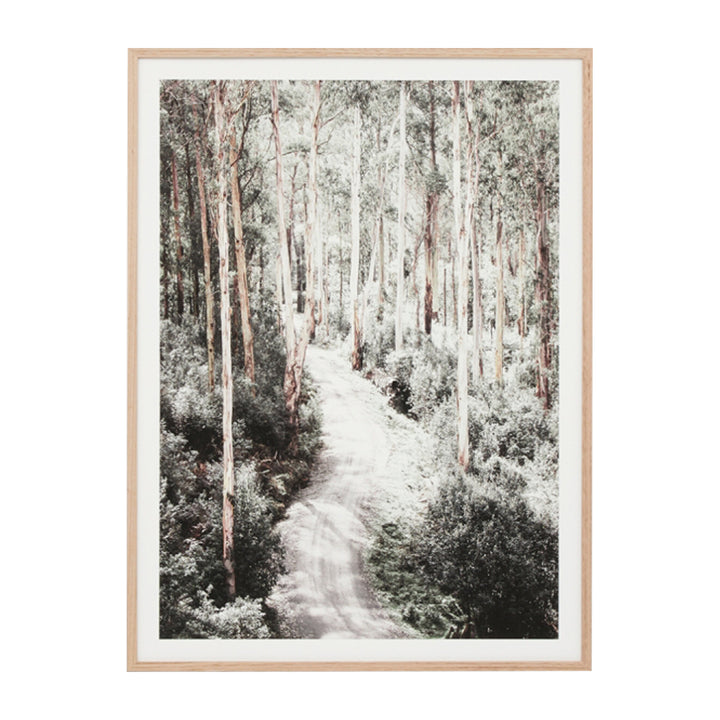 Eucalyptus Trail Print