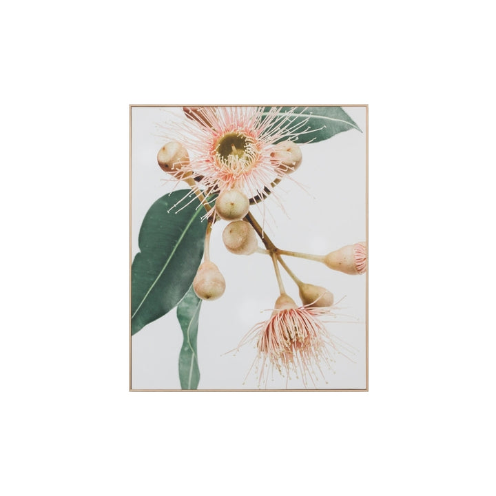 Eucalyptus Flower 1 Canvas
