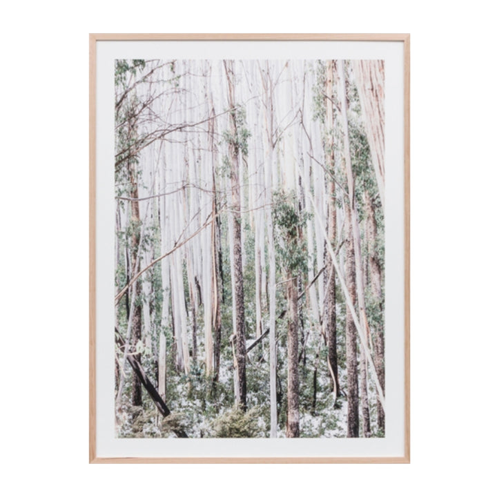 Eucalyptus Forest Print