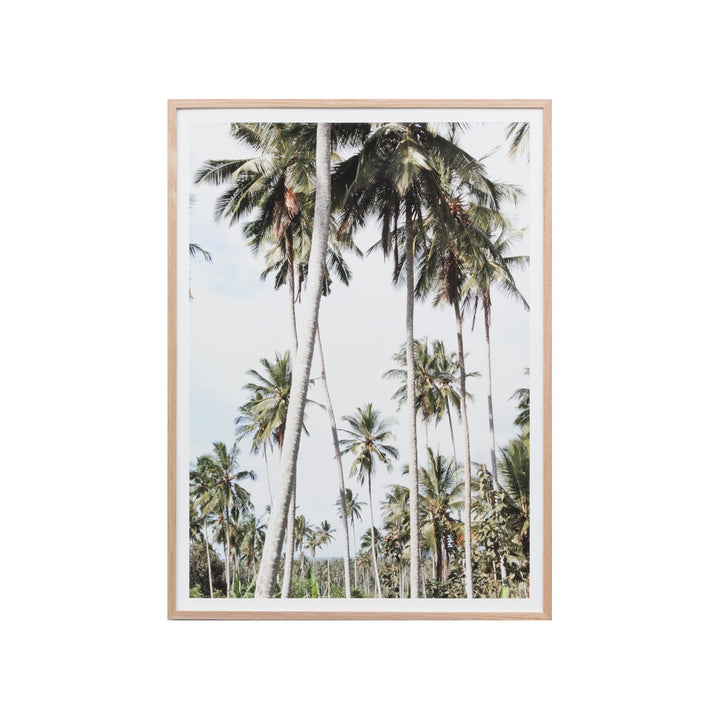 Holiday In The Palms Print