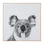 Koala Print On Canvas - Koala Print On Canvas