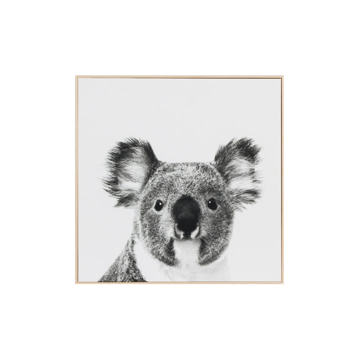 Koala Canvas (Small)