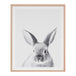 Lovable Bunny Print