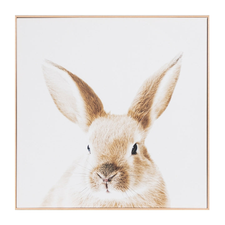 Lovable Bunny Framed Canvas