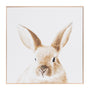 Lovable Bunny Framed Canvas - Lovable Bunny Framed Canvas