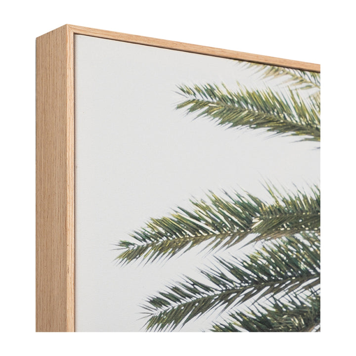 Palm Window Square Framed Canvas