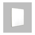 Flynn Curve Rectangle Mirror (Silver)